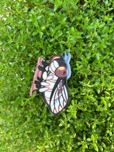 Load image into Gallery viewer, Cactus Dodger Cicada Acrylic Side Magnet